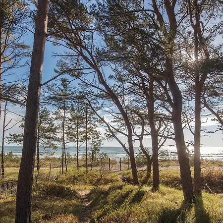 Princess Daire Lubkow